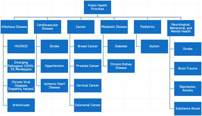 University consortium to address public health priorities and research capacity building in the Caribbean